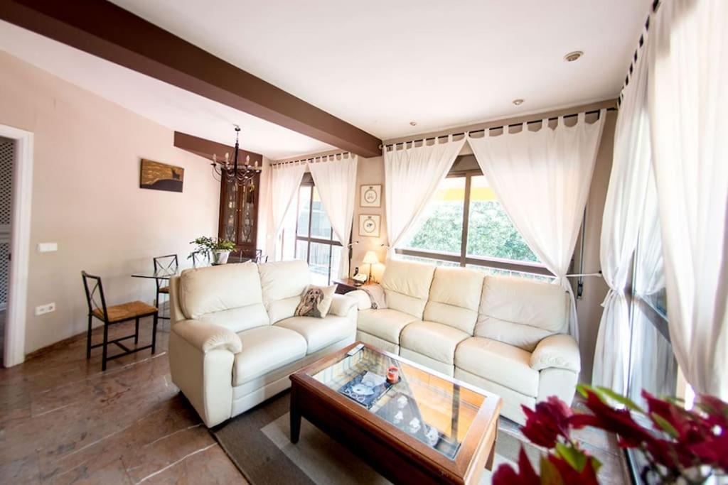 Penthouse!!! Center Of Seville!!! 2 Bedroom + 2 Bath!!! المظهر الخارجي الصورة