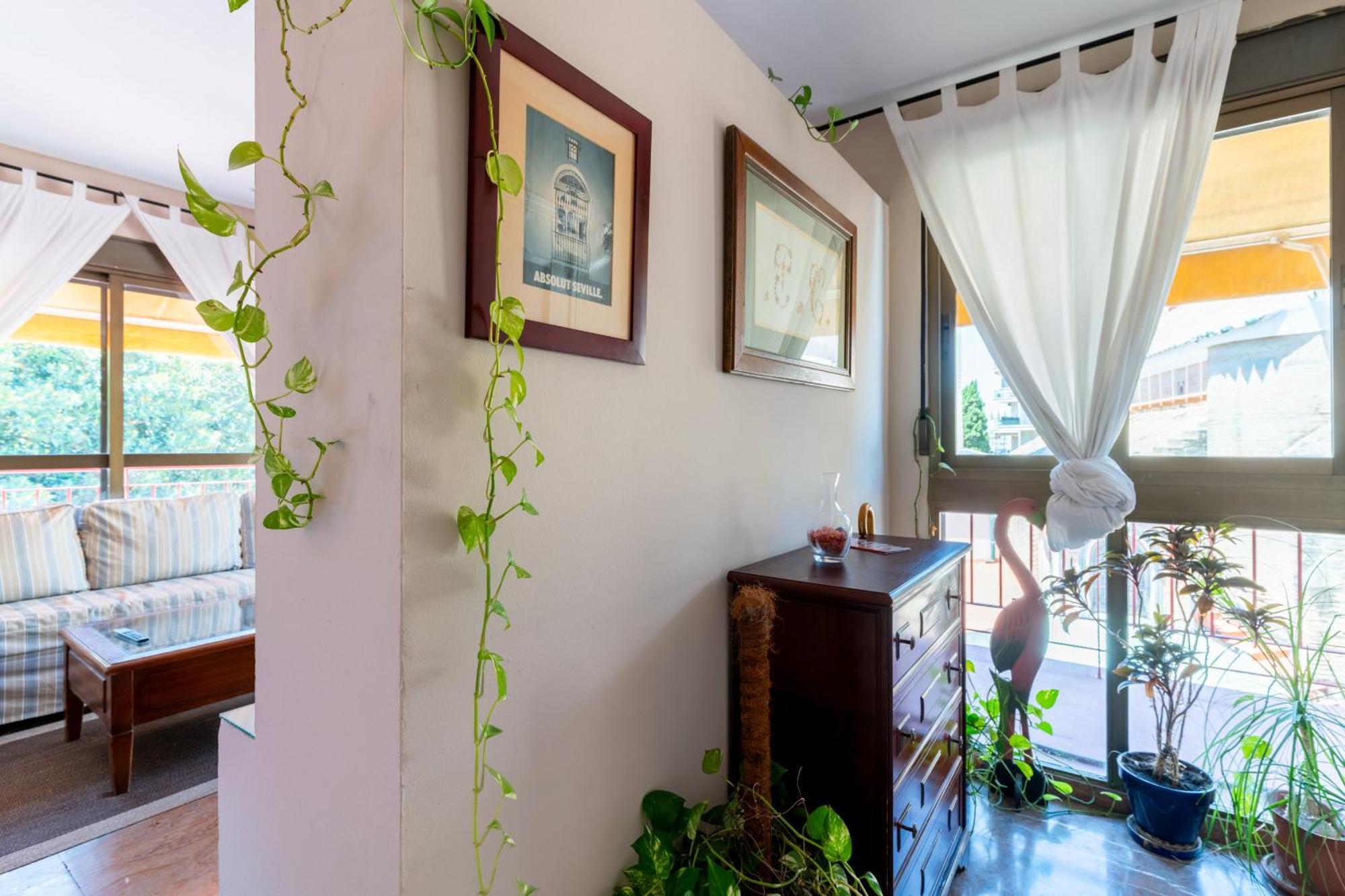 Penthouse!!! Center Of Seville!!! 2 Bedroom + 2 Bath!!! المظهر الخارجي الصورة